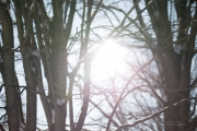 Landscapes