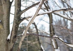 Landscapes-2