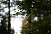 64-Gallery-10-of-15