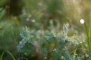 64-Gallery-7-of-15