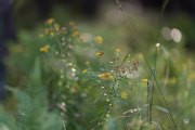 64-Gallery-8-of-15