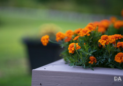 34-Bokeh-2 34-Bokeh-2