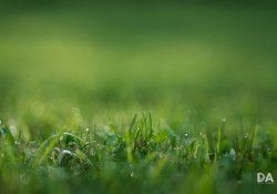 34-Bokeh-3 34-Bokeh-3