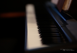 Sigma 85 Samples-7