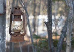 Sigma-FP-L-Samples-32