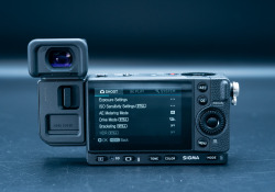 06-EVF-2