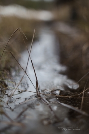 Walkabout-12.jpg