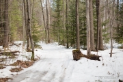 Walkabout-3.jpg