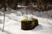 Walkabout-8.jpg