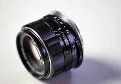 Takumar Lens Shots-2.jpg