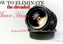 Takumar Lens Shots-3.jpg