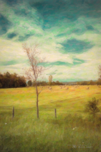 Yonder Lies the Harvest