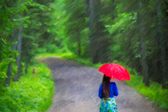 Snap Art "Paintings"