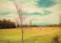 Yonder Lies the Harvest