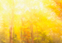 Let There be Light