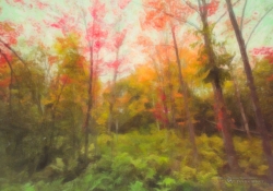 074 Snap Art Samples-13.jpg