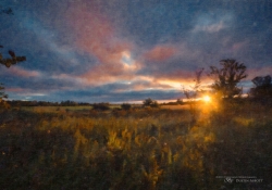 074 Snap Art Samples-15.jpg