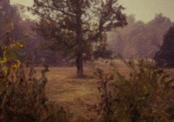 074 Snap Art Samples-17.jpg