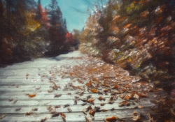 074 Snap Art Samples-18.jpg