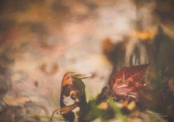 074 Snap Art Samples-22.jpg