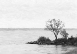 074 Snap Art Samples-4.jpg