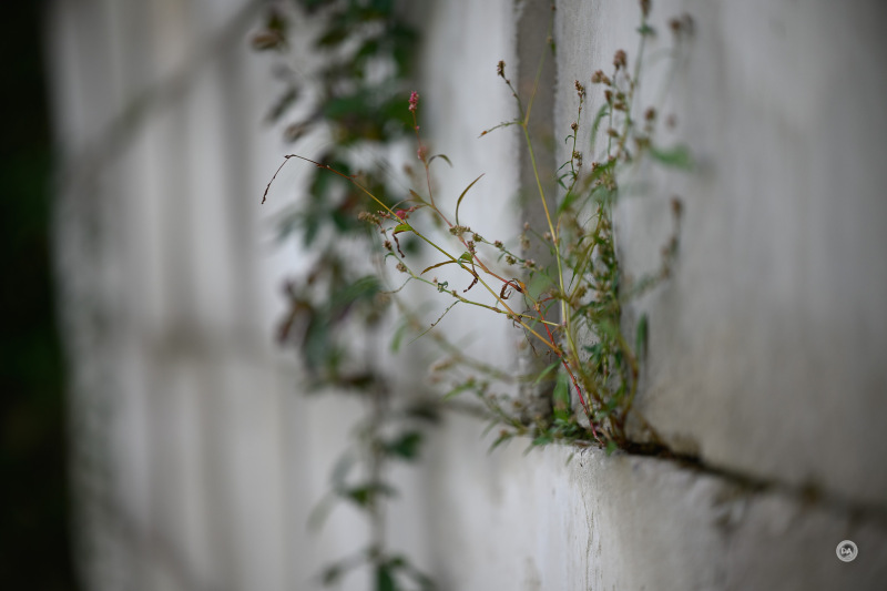 51-Gallery-4