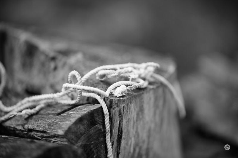 51-Gallery-8