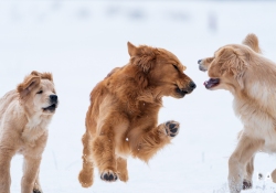 03-Action-2