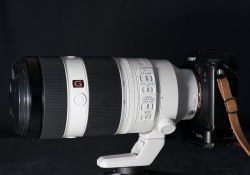 06-Compact-Size