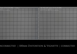 18-100mm-Distortion