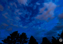 40-12mm-Coma