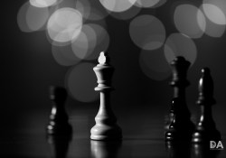 16-Creative-Options-2