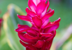 54-Bokeh