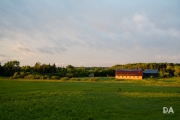 Beautiful Light-3