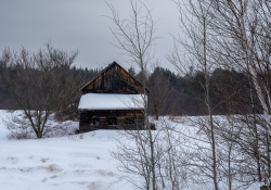 33-LaCA-1