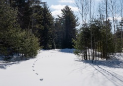 20-Missed-Focus-3