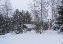 29-Landscapes-4