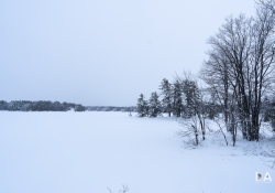 29-Landscapes-6
