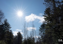 38-Flare-Restiance-2