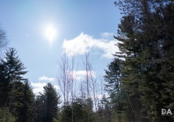 38-Flare-Restiance