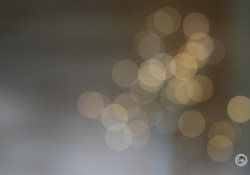 14-Bokeh-2