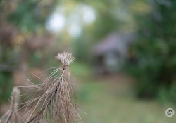 43-Bokeh-2