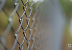 43-Bokeh-4