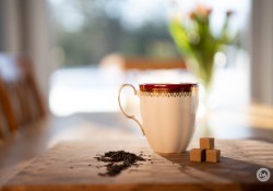 50GM-F1.4-Samples-16