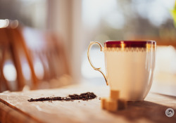 50GM-F1.4-Samples-20