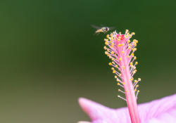 70-200-II-Samples-10