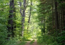 70-200-II-Samples-30