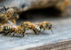 70-200-II-Samples-64