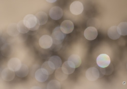 10-Bokeh-2
