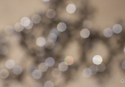 10-Bokeh-3